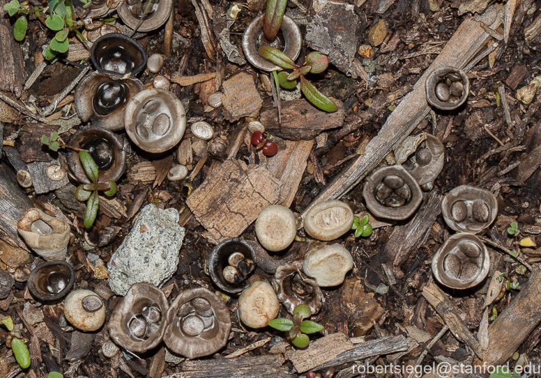 emily renzel wetlands 2024